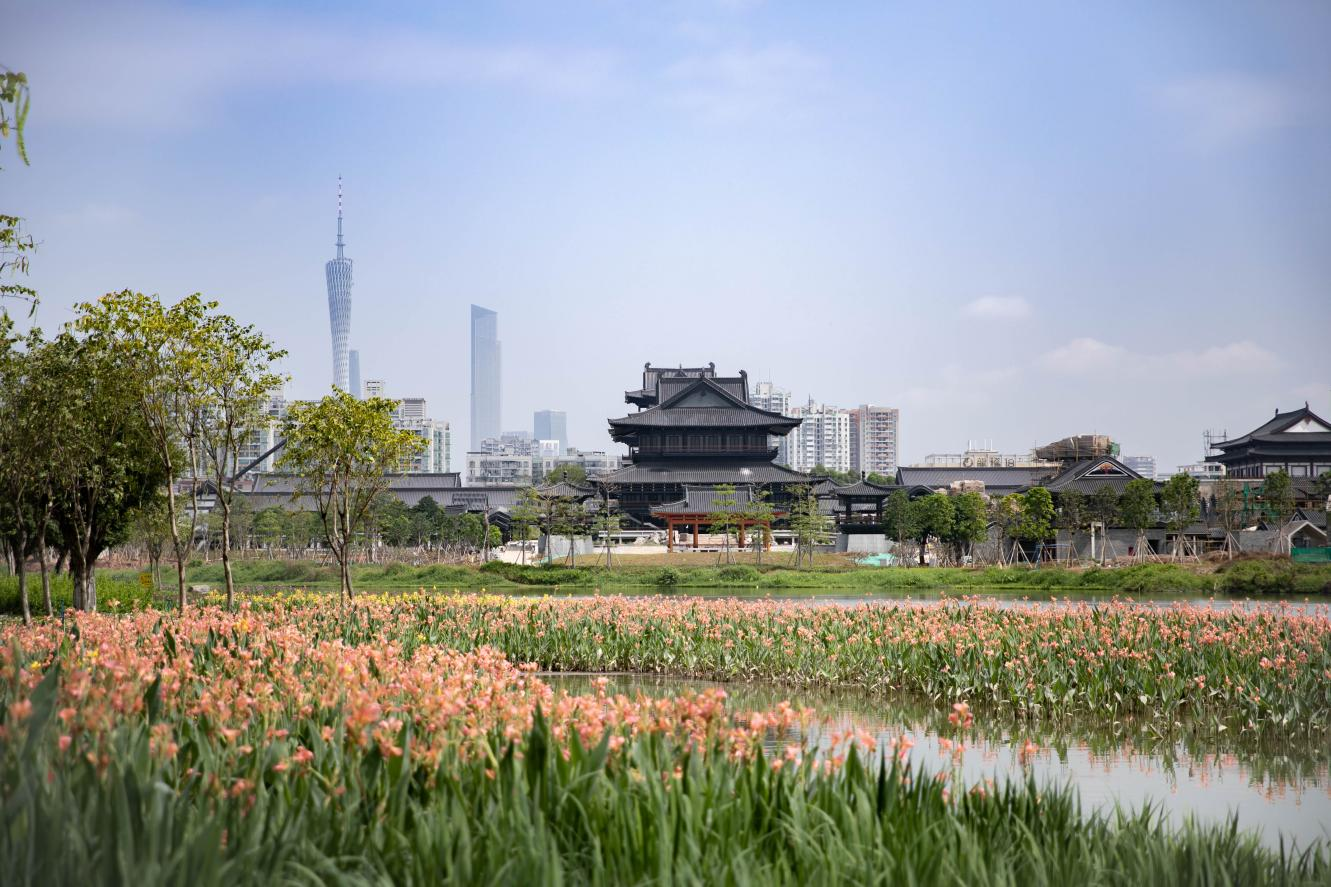 城市更新│打造最美城央湿地 助力城市品质提升